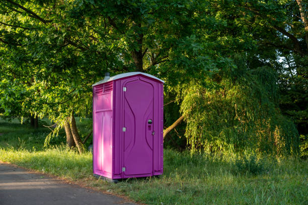 Best Sanitation services for porta potties  in Mayville, NY